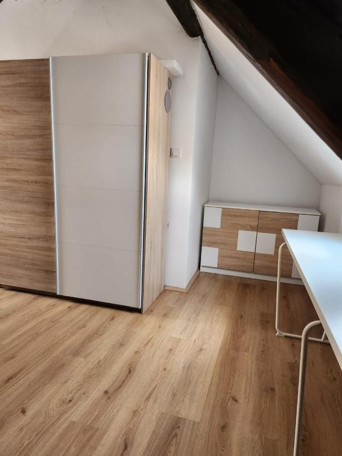 Appartement Apartman Buzanova 001 à Zagreb Extérieur photo